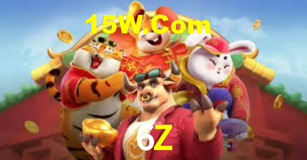 Instant EasyPaisa 6Z